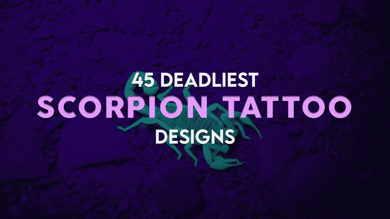 scorpion tattoo designs