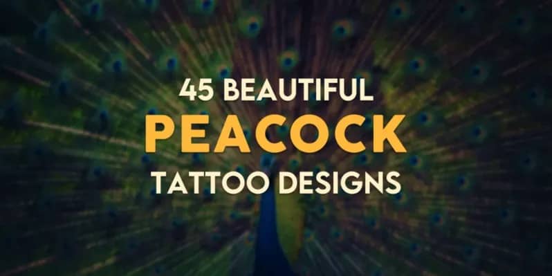 Beautiful Peacock Tattoo Designs